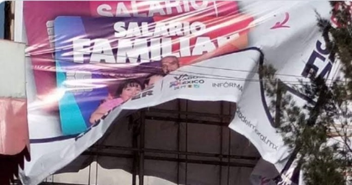 bajan lona de alejandra
