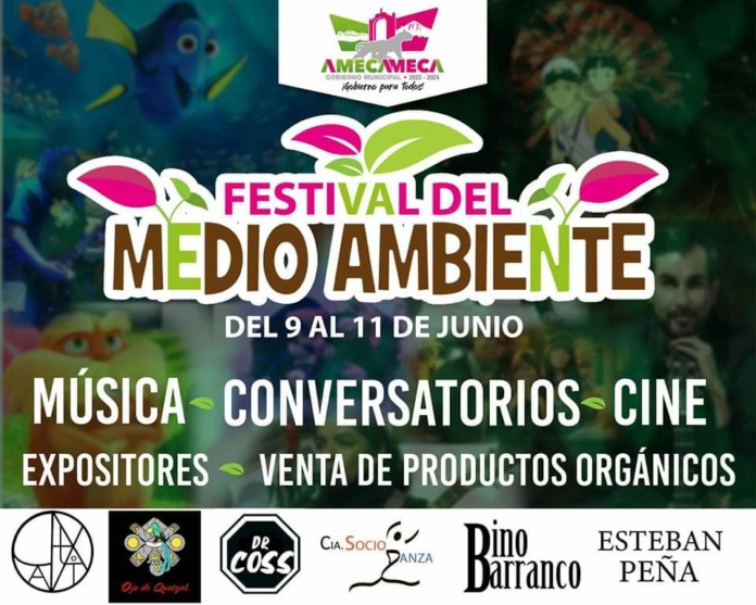 festival 2