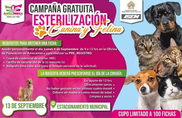 campaña