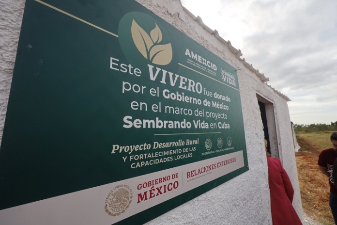 Vivero para Cuba