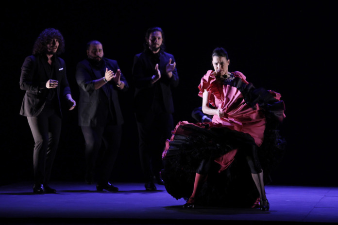 sensualidad-ritmo-fuerza-y-excelencia-es-lo-que-presenta-la-pinona-en-insaciable (4)
