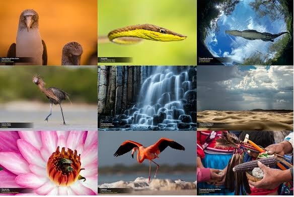 biodiversidad 2