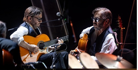 meola