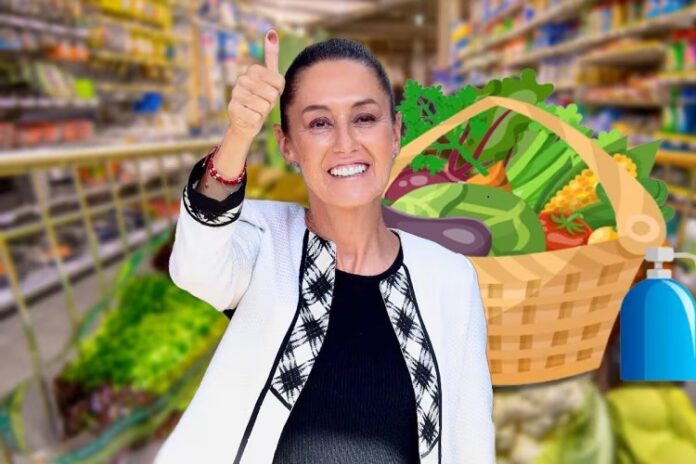 claudia y la canasta