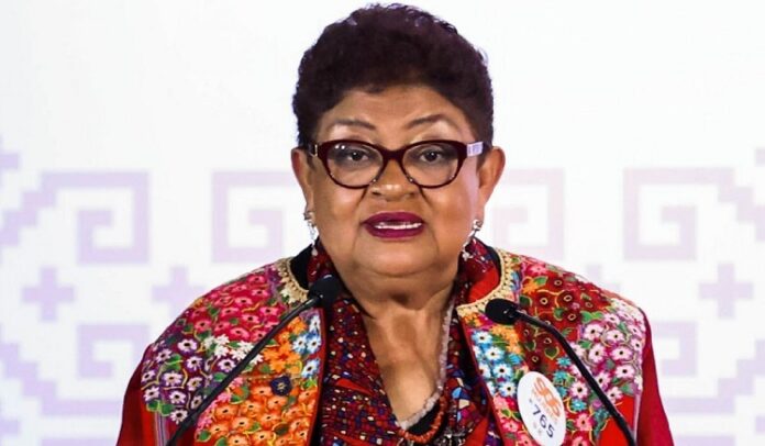 ernestina godoy